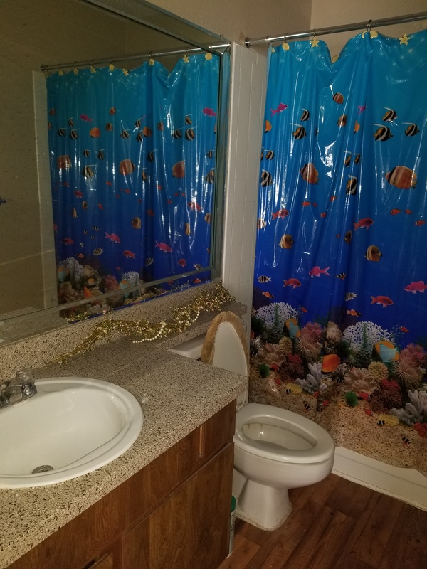 roommates in Bedford Looking for someone asap - cirtru.com