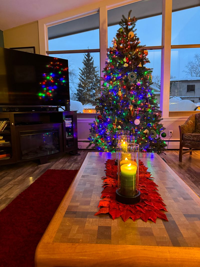 roommates in Anchorage Entire Place 1Bed.1Bath - cirtru.com