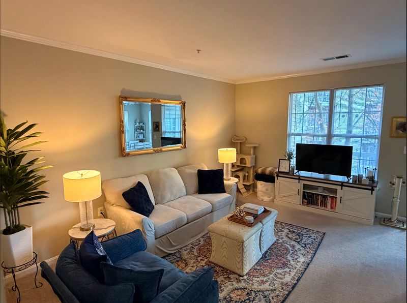 roommates in Arlington Entire Place 1Bed.1Bath - cirtru.com