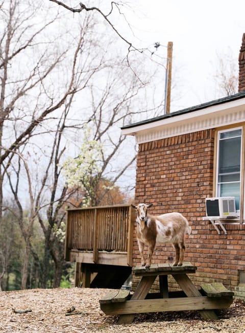 roommates in Brandywine Entire Place 1Bed.1Bath - cirtru.com