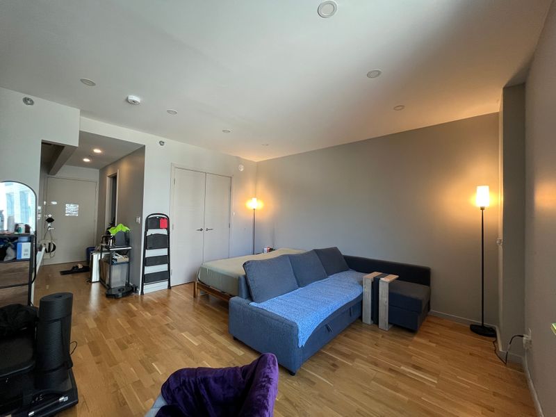 roommates in New York City Entire Place 1Bed.1Bath - cirtru.com