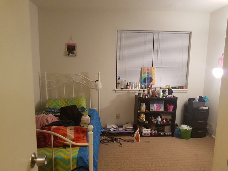 roommates in Guilderland Need a Indian female roommate - cirtru.com
