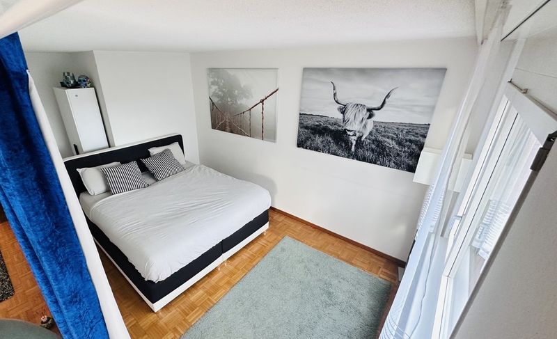 roommates in Brookline Entire Place 1Bed.1Bath - cirtru.com