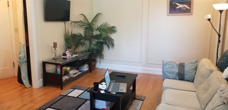 roommates in Brookline Private Room in 2Bed.1Bath - cirtru.com