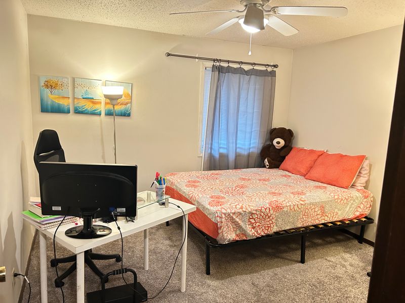 roommates in Ames Entire Place 1Bed.1Bath - cirtru.com