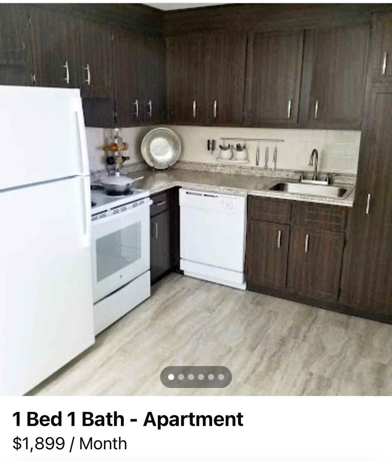 roommates in Worcester Entire Place 1Bed.1Bath - cirtru.com