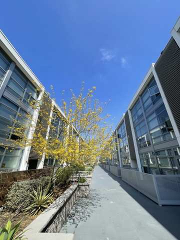 roommates in San Diego Private Room in 2Bed.2Bath - cirtru.com