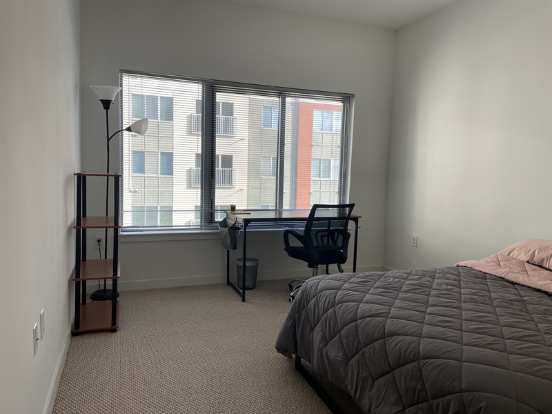roommates in Stamford Private Room in 2Bed.2Bath - cirtru.com