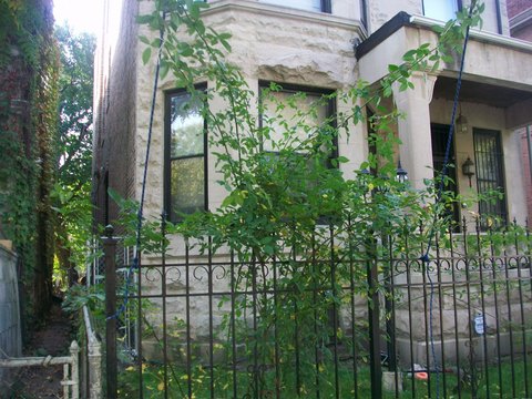 roommates in Chicago Private Room in 5Bed.4Bath - cirtru.com