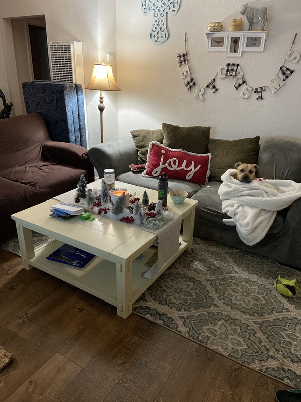 roommates in La Mesa Private Room in 2Bed.1Bath - cirtru.com