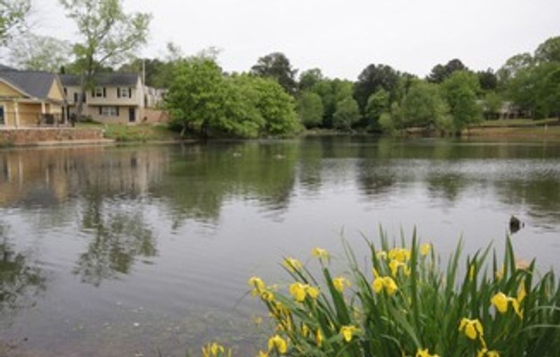 roommates in Marietta Entire Place 1Bed.1Bath - cirtru.com