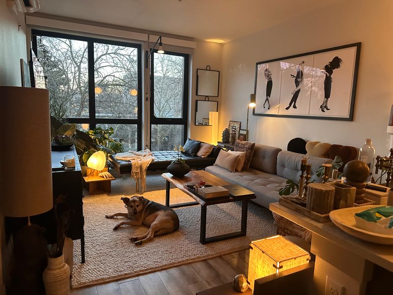 roommates in Seattle Room1Bed.1Bath - cirtru.com