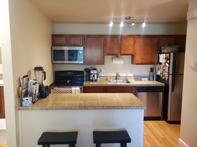 roommates in Steamboat Springs Entire Place 1Bed.1Bath - cirtru.com