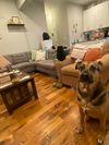 Private Room in 3Bed.2Bath