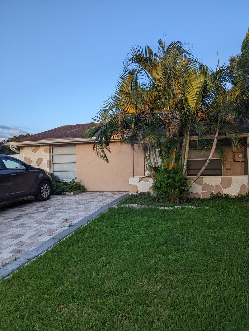 roommates in Tampa Private Room in 1Bed.1Bath - cirtru.com