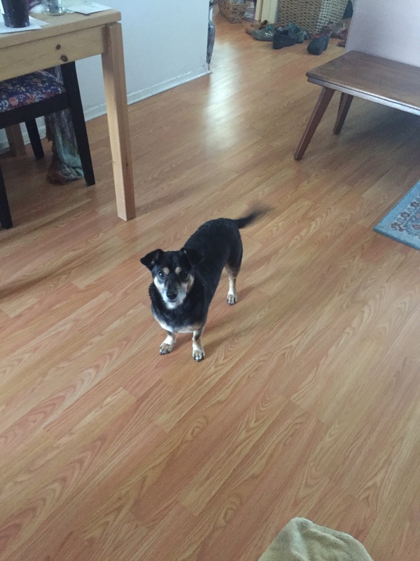 roommates in Los Angeles Private Room in 2Bed.1Bath - cirtru.com