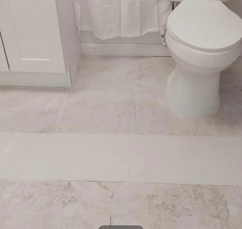 roommates in Clearwater Entire Place 1Bed.1Bath - cirtru.com