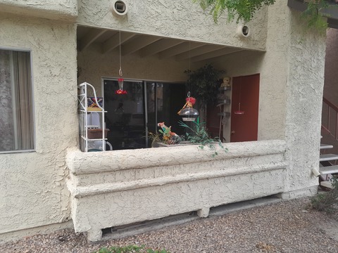 roommates in Las Vegas Private Room in 2Bed.1Bath - cirtru.com