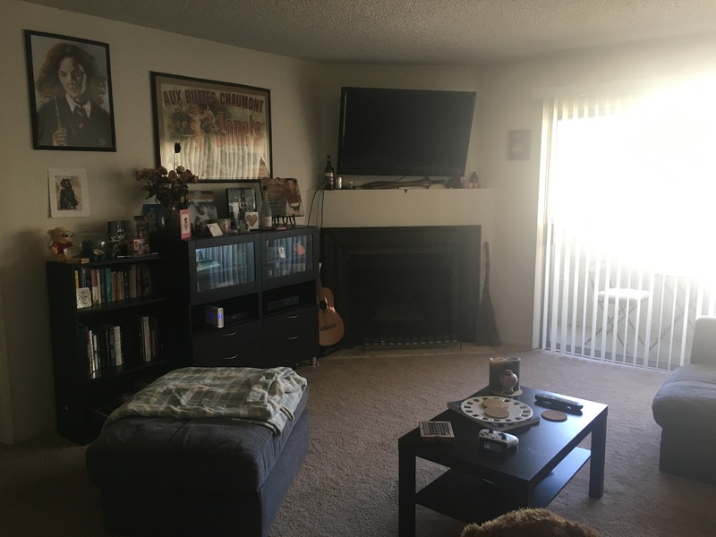 2 Bedroom + 2 Bathroom Apartment