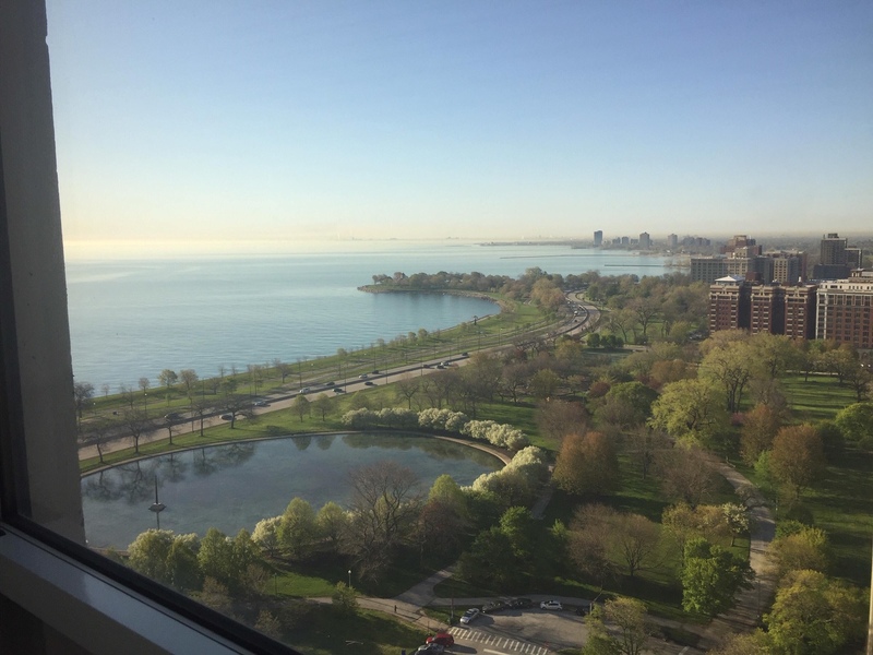 roommates in Chicago Private Room in 2Bed.2Bath - cirtru.com