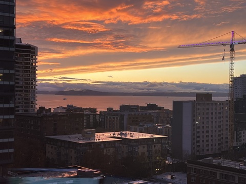 roommates in Seattle Entire Place 1Bed.1Bath - cirtru.com