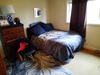 Private Room in 2Bed.1Bath