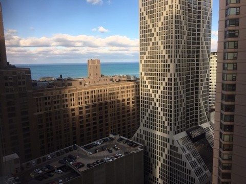 roommates in Chicago Flatmate For 1Bed Aptmnt in downtow - cirtru.com