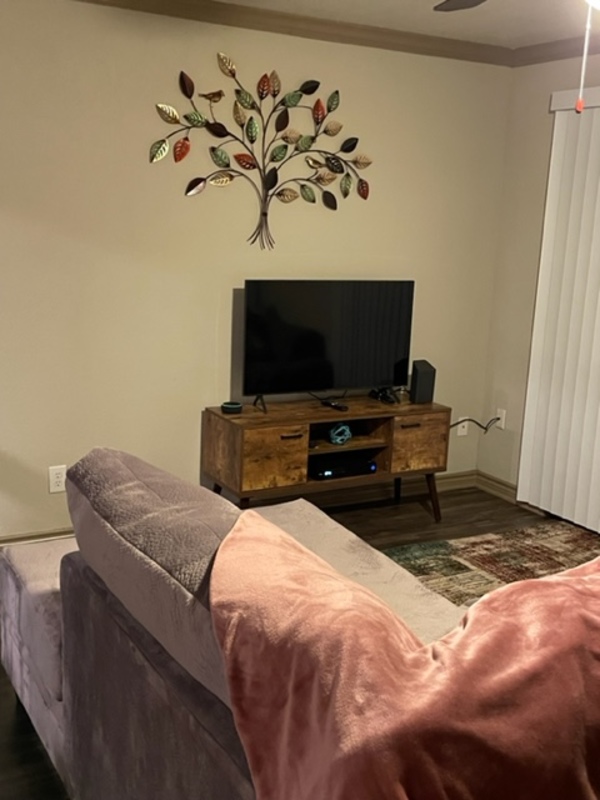 roommates in Seabrook Entire Place 2Bed.2Bath - cirtru.com
