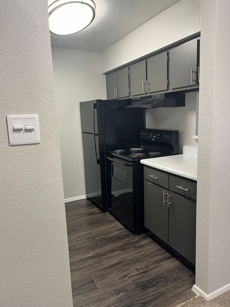 roommates in Austin Entire Place 1Bed.1Bath - cirtru.com