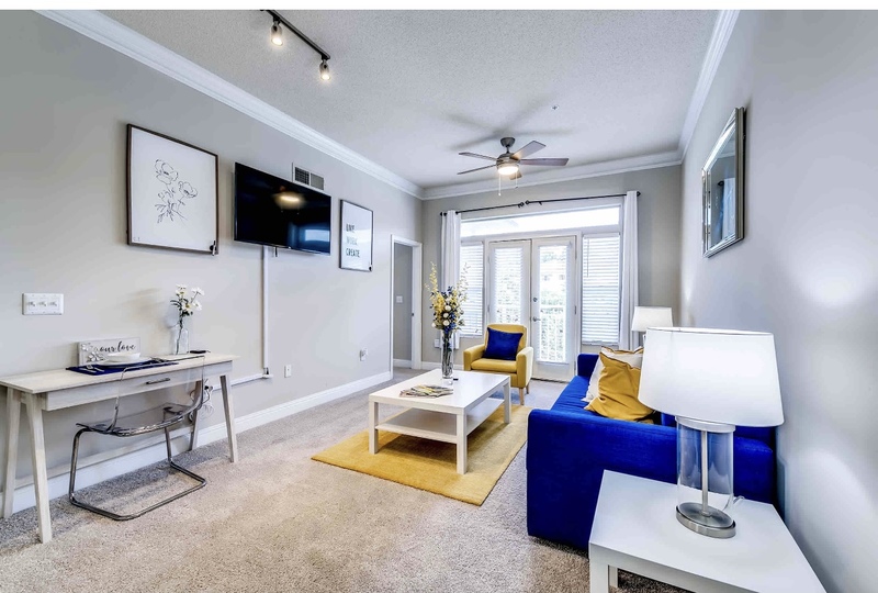 roommates in Atlanta Entire Place 1Bed.1Bath - cirtru.com