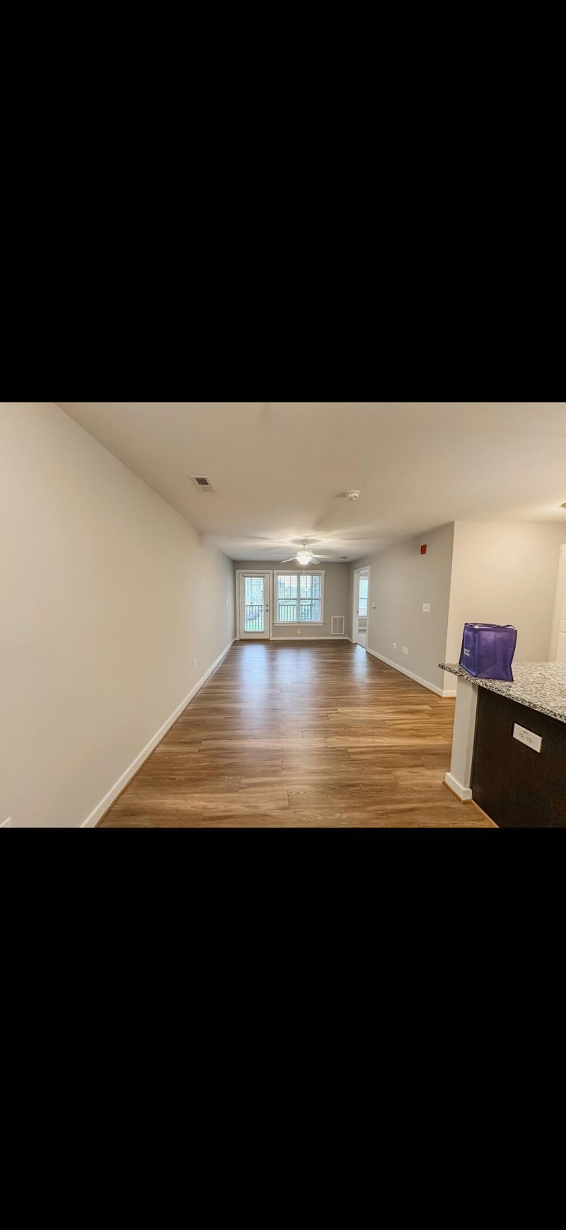 roommates in Greenville Entire Place 1Bed.1Bath - cirtru.com