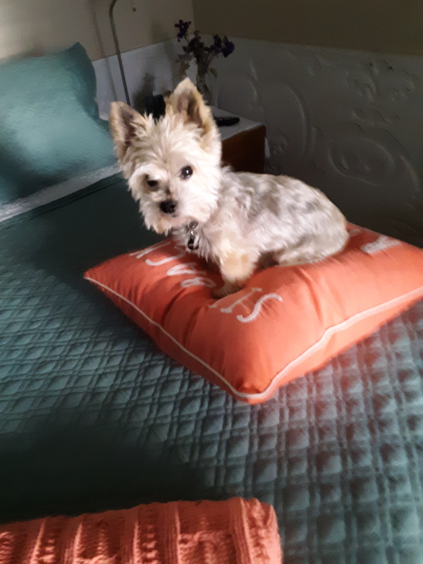 roommates in San Clemente Private Room in 3Bed.3Bath - cirtru.com