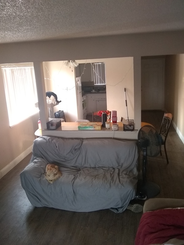 Arden town room available