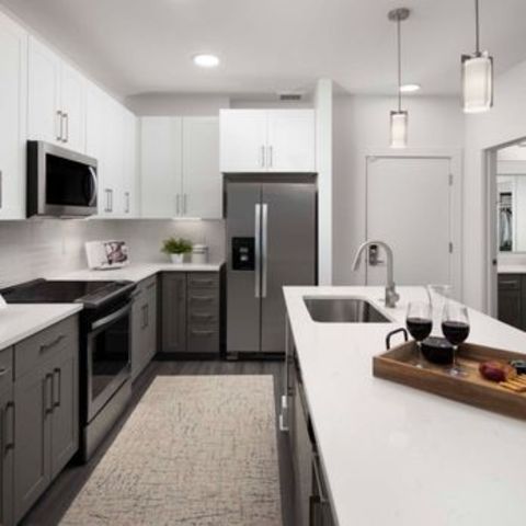 roommates in Phoenix Entire Place 1Bed.1Bath - cirtru.com