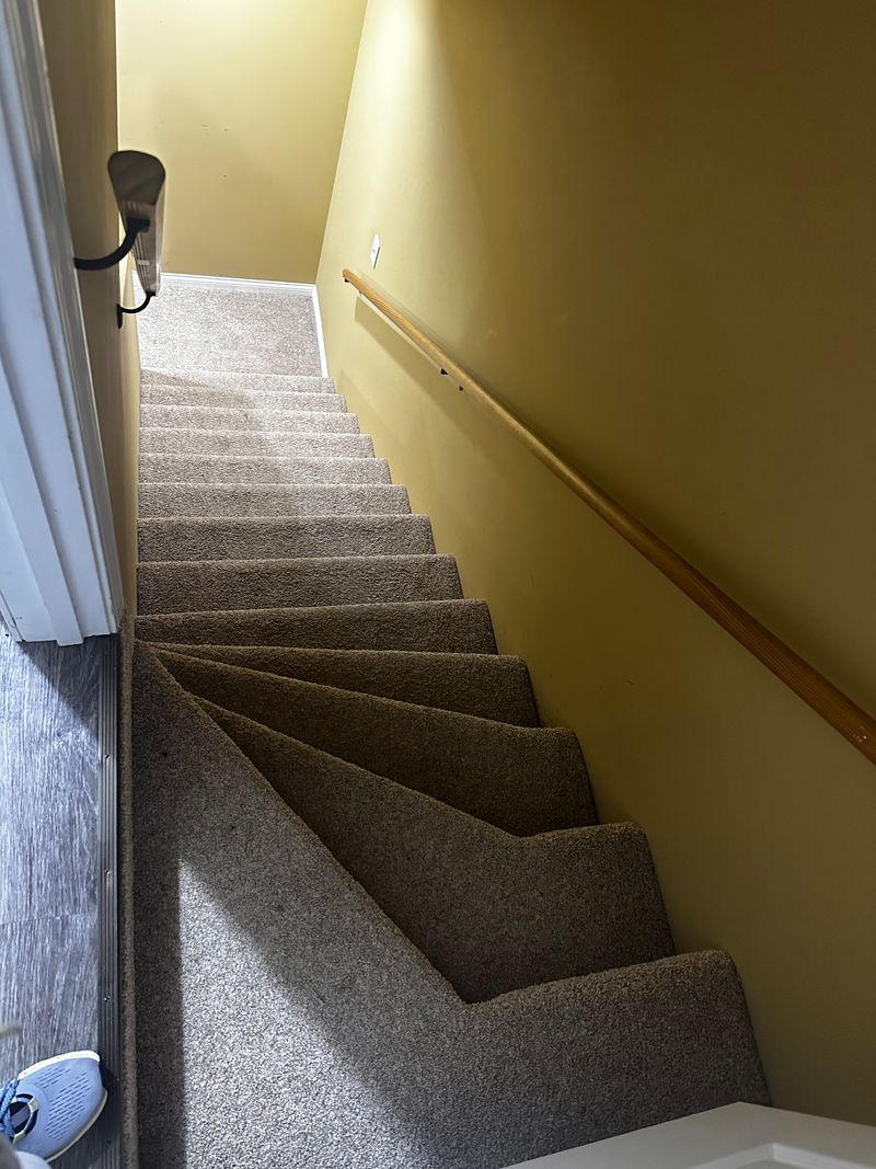 roommates in Belleville Entire Place 1Bed.1Bath - cirtru.com