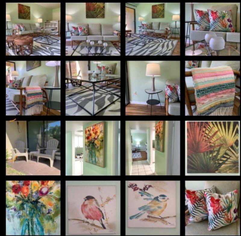 roommates in Undisclosed, St. Petersburg, FL 33716 Carefree living in the Sunshine City (id. 16529) - cirtru.com