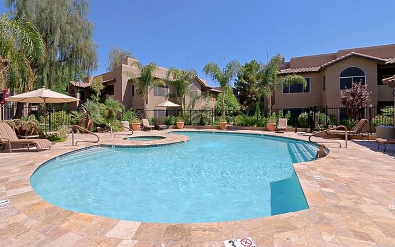 roommates in Scottsdale Entire Place 1Bed.1Bath - cirtru.com