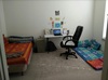 Need Female Roommate for 2BHK apt