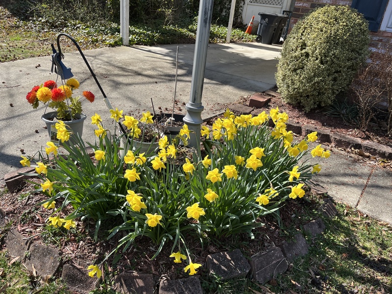 roommates in Beltsville Private Room in 4Bed.3Bath - cirtru.com