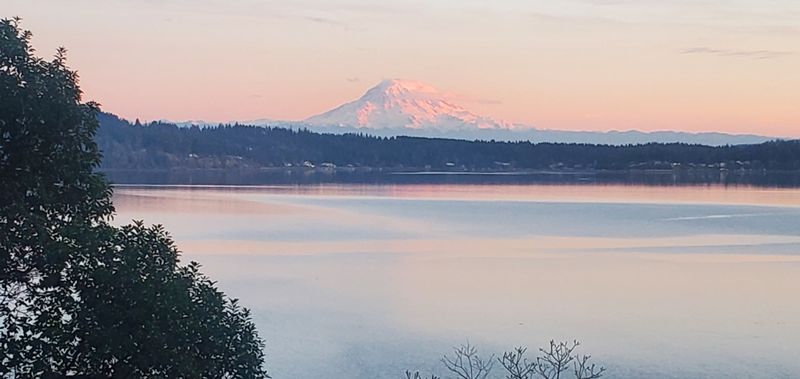 roommates in Lakebay Private Room in 4Bed.3.5Bath - cirtru.com