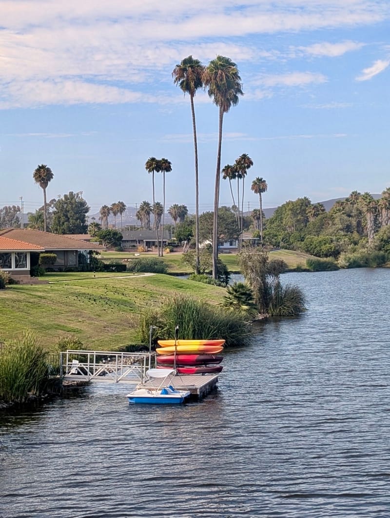 roommates in San Marcos Room2Bed.2Bath - cirtru.com