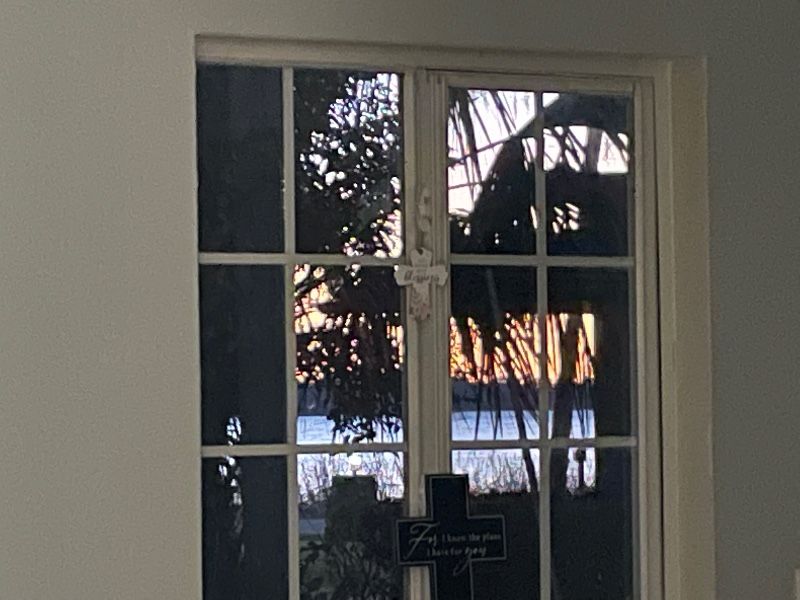 roommates in Mount Dora Entire Place 1Bed.1Bath - cirtru.com