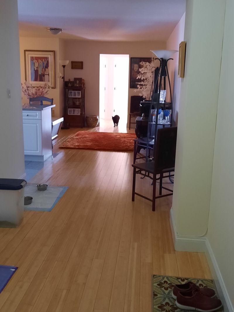 roommates in New York City Private Room in 2Bed.1Bath - cirtru.com
