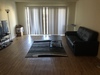 Looking for a female roommate
