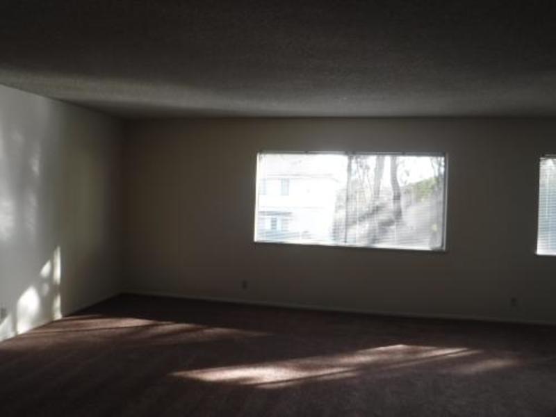Spacious Room w/ amenities