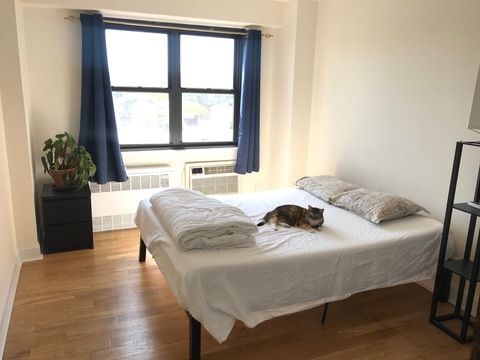 roommates in Brooklyn Private Room in 3Bed.2Bath - cirtru.com