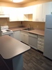 Room in 2B/1B @1130:Downton Seattle