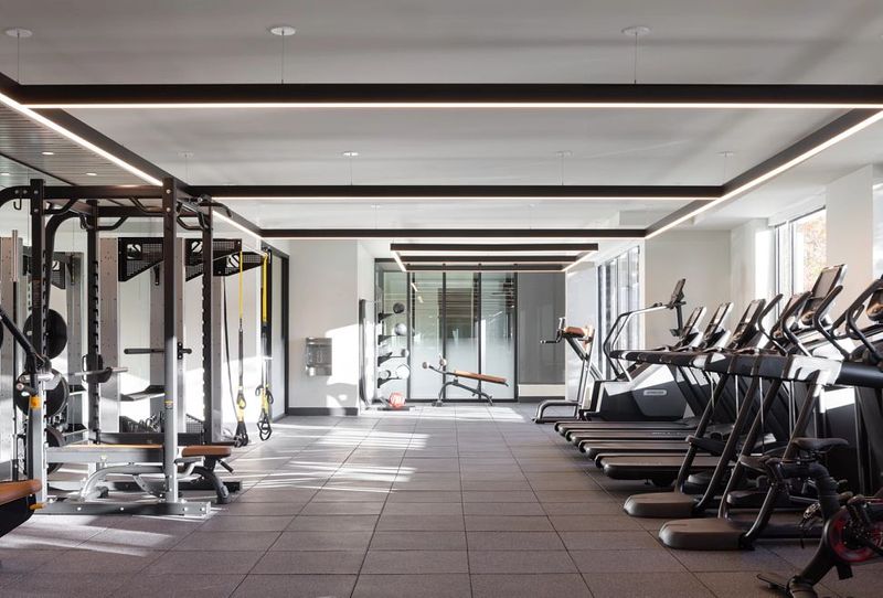 roommates in Shoreline Entire Place 1Bed.1Bath - cirtru.com