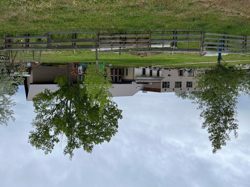 roommates in Rifle Private Room in 5Bed.3Bath - cirtru.com