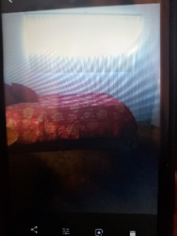 roommates in Murrieta Room for rent senior community 55+ - cirtru.com